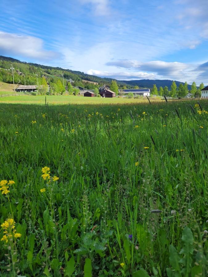 Friends & Family Apartment At Hafjell Alpinlandsby/Oyer Center Extérieur photo